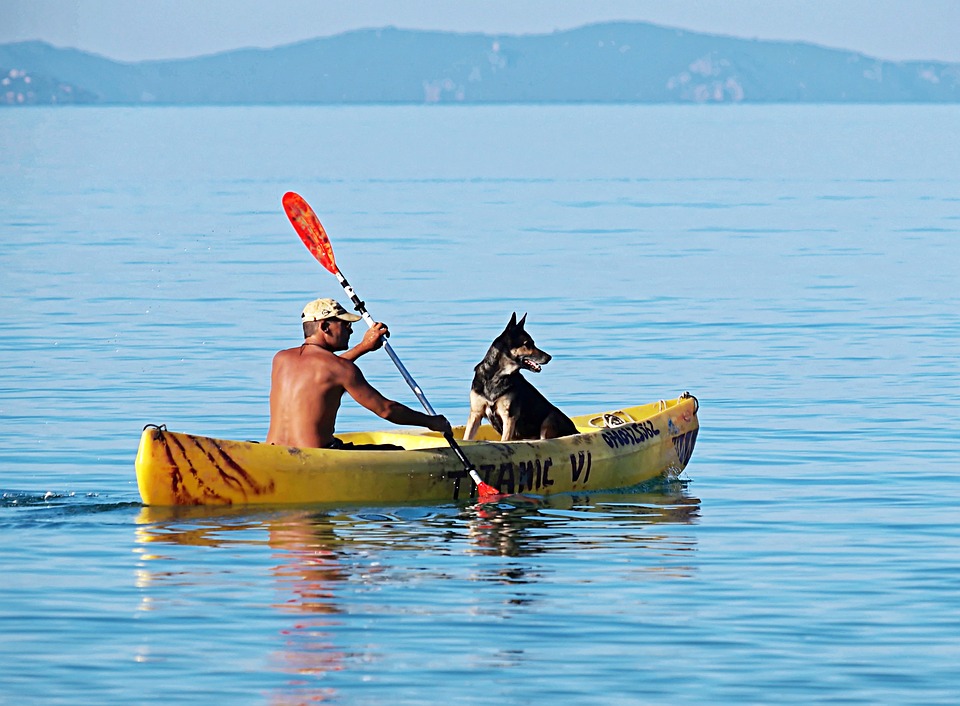 Boat, Oars, Man, Dog, Water, Paddle, Calm